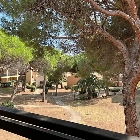Appartement Domaine Valescure 1 Ou 2 Pieces Vue Jardin Ou Piscine